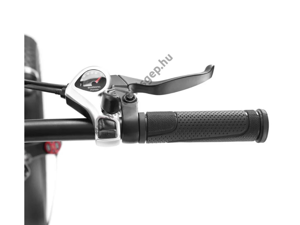 HECHT COMPOS XL GREY Elektromos kerékpár, e-bike, 20", 36V, 13Ah, Shimano váltó, tárcsafék, összecsukható