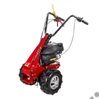 Kép 1/9 - Eurosystems MINIEFFE Briggs 625 EXI alapgép, adapter nélkül, 150 cm3,  1 sebesség