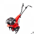 Kép 3/4 - Eurosystems Z2 RM Benzinmotoros kapálógép, rotációs kapa, Briggs 450E, 125cm3, 2x2 kapatag, 1 sebesség +hátramenet