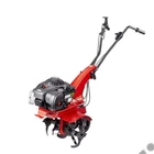Kép 1/4 - Eurosystems Z2 RM Benzinmotoros kapálógép, rotációs kapa, Briggs 450E, 125cm3, 2x2 kapatag, 1 sebesség +hátramenet