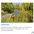 Kép 10/12 - Gardena EcoLine Locsolópisztoly