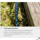Kép 12/12 - Gardena Liano™ Xtreme Textil locsolótömlő készlet (1/2'), 15 m