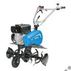 Bertolini BT 195 irányváltós kapálógép 3x3 kapatag, 182 cm³, Emak K 800 Bertolini BT 195 irányváltós kapálógép 3x3 kapatag, 182 cm³, Emak K 800