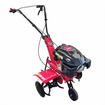 BISONTE BTA-600 Benzinmotoros kapálógép, rotációs kapa, 5,5 Le, 173cm3, 2x3 kapatag,