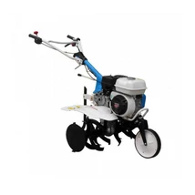 AGT 5580 rotációs kapa HONDA GP200, 2+1 sebesség, 2x3 kapatag, járókerék, töltögető kapa, összeszerelve szállítjuk