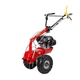 Eurosystems P70 Evo Briggs alapgép, adapter nélkül, Benzinmotoros kapálógép, rotációs kapa, 223 cm3,  3 sebesség + 2 hátramenet